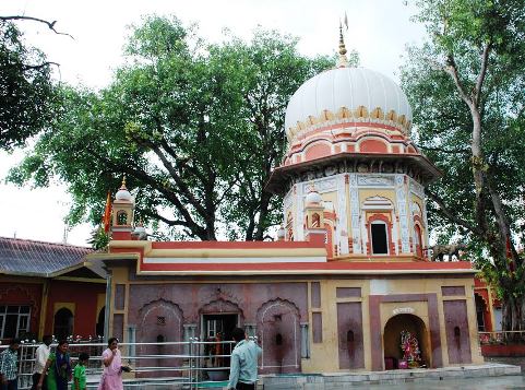 त्रिलोकपुर में नवरात्र मेले के दौरान बरगद का विशालकाय पेड़ धड़ाम, टला हादसा