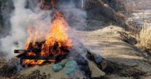 कुल्लू पुलिस ने आग के हवाले की 43 मामलों में पकड़ी 53 किलो चरस 