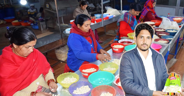 Good Story : हिमाचल में इंजीनियर ने शुरू की Dry Fruits के राजा "काजू" की प्रोसेसिंग
