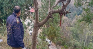 सुंदरनगर : प्रवासी मजदूर ने जंगल में पेड़ पर फंदा लगाकर दी जान